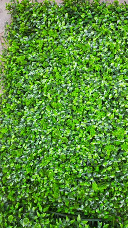Greenvalley
